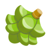 Pokestar - Babiri Berry in Legends: Z-A